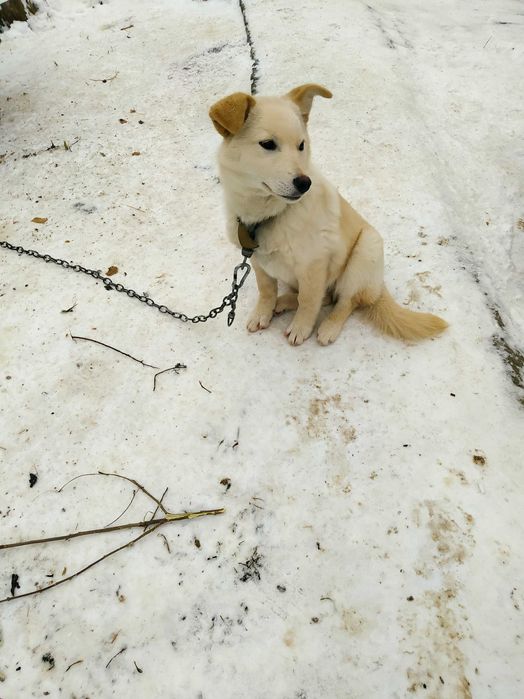 Мила дівчинка потребує турботи