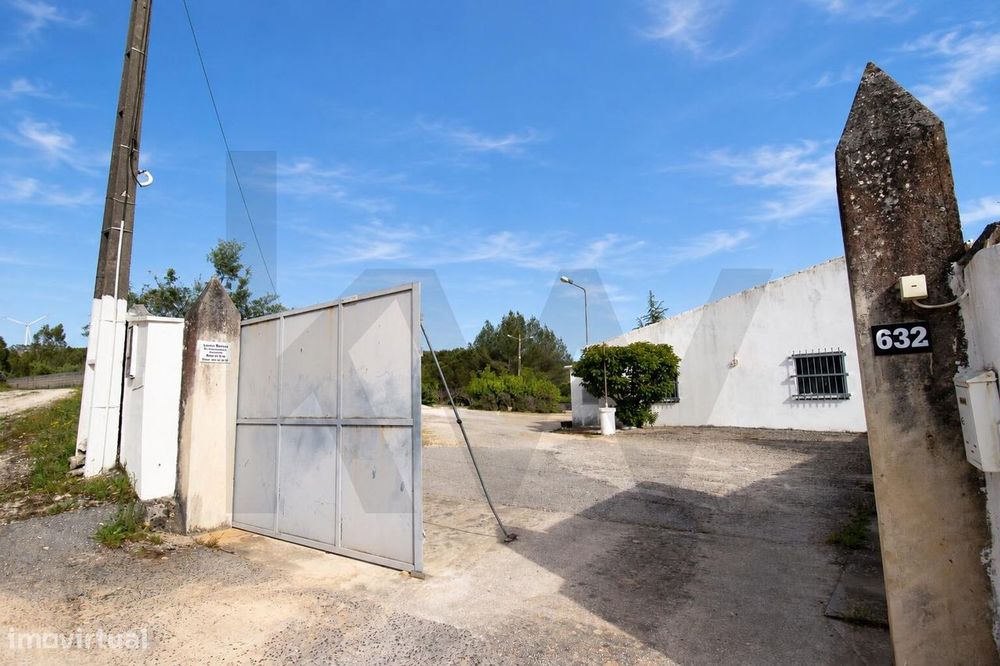 Quinta com 13.560 m2 | Oportunidade de Investimento Turístico em Mira