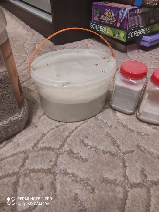 Палочки фруктові для гризунів, пісок, пил, корм для гризунів