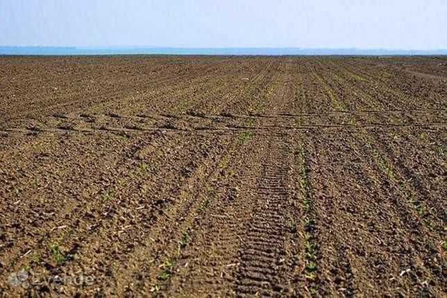 Продам пай в с. Роксоланы