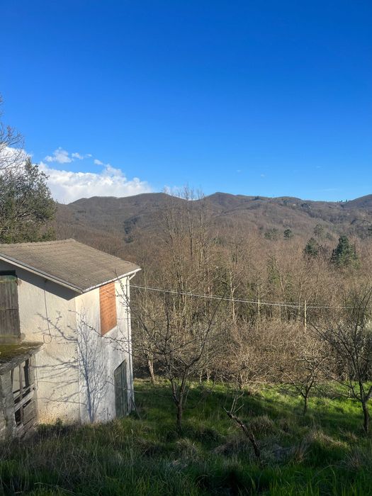 Затишний заміський будинок у Тавароне, Італія, 5.8 гектарів землі