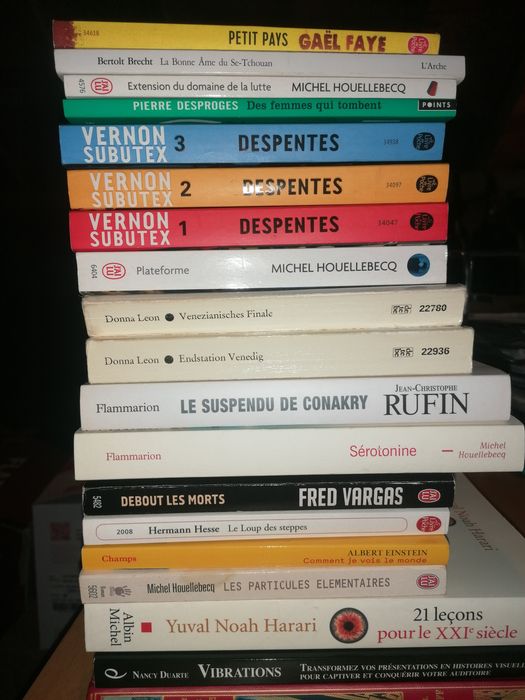 Livros franceses / French books