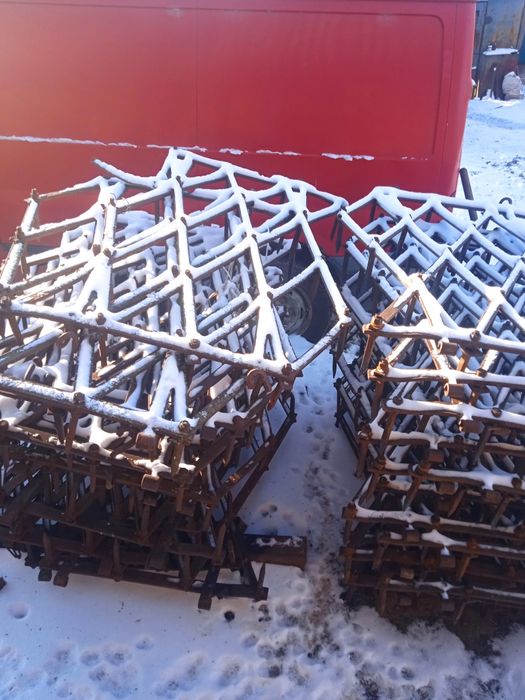 Борона зубова   .