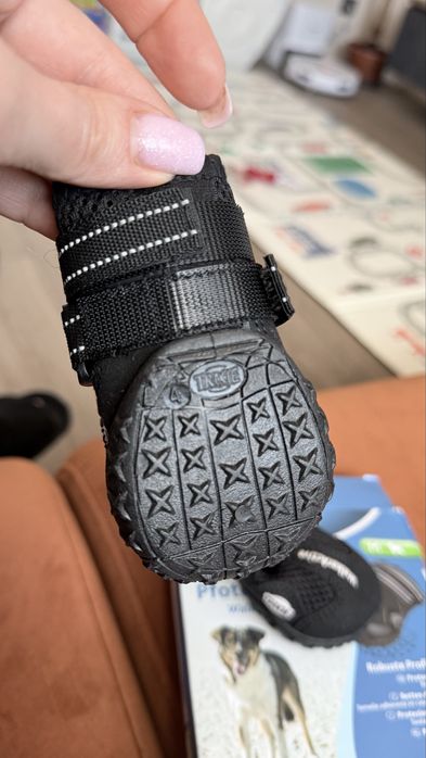 Взуття для собак