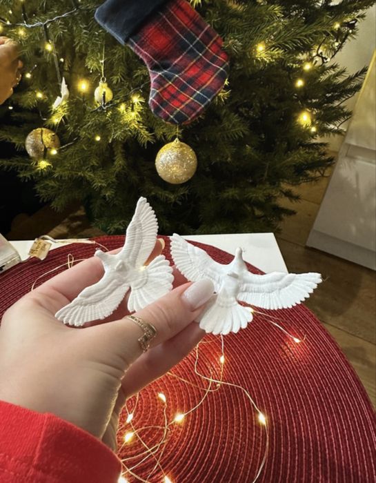 Prezent Christmas golębi para