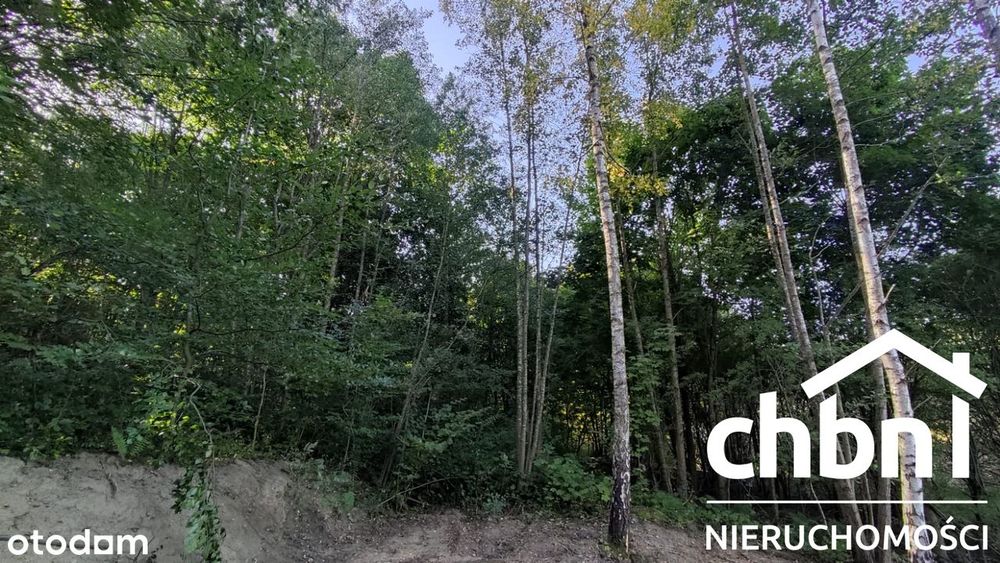 Działka w ustronnym zakątku Charzyków