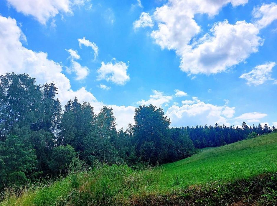 Górska ostoja  w miejscowości Sieniawa koło Nowego Targu