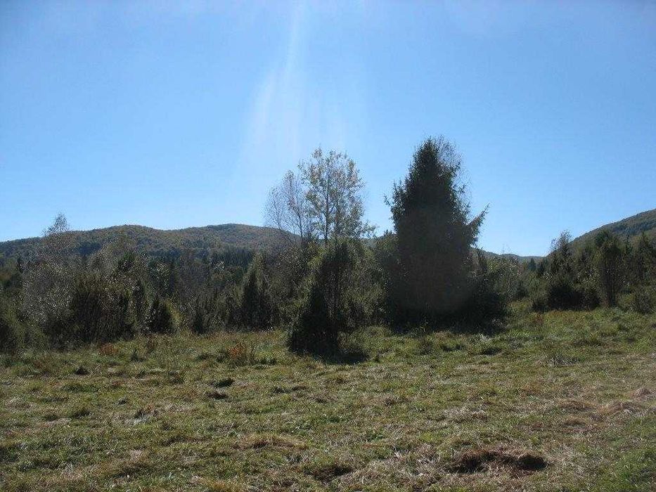 Piękna działka leśna Bieszczady