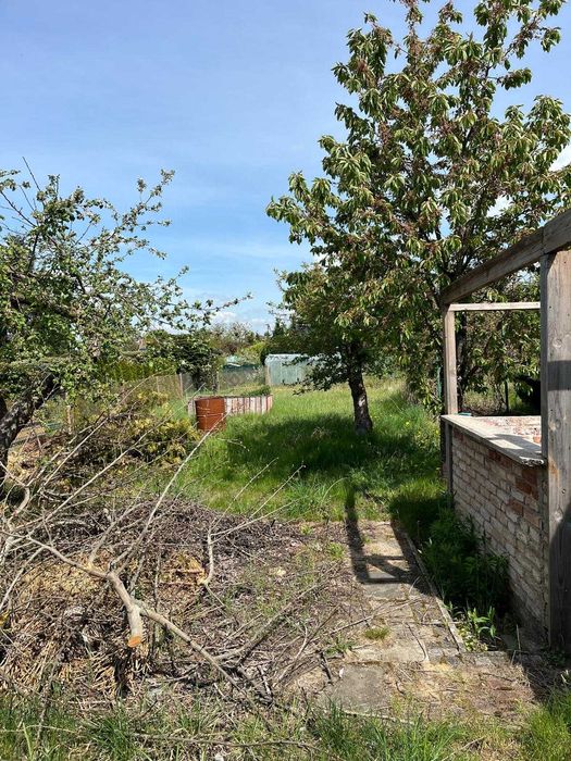 Działka ROD 459 m² ul. Grudziądzka - Widok 4