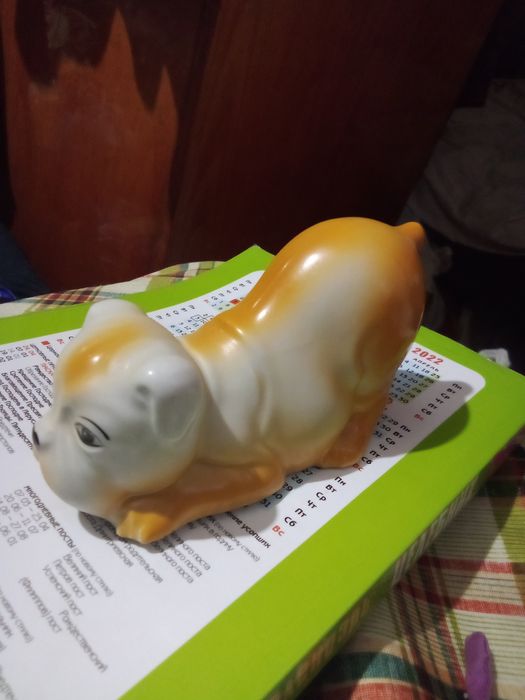 Гарнюсєнький Собачка мопсик на полюванні