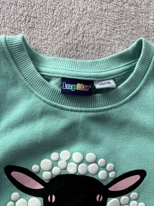 Ciepła bluza Lupilu 110-116