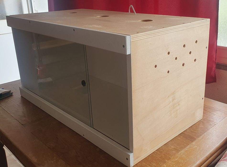 Terrário de madeira