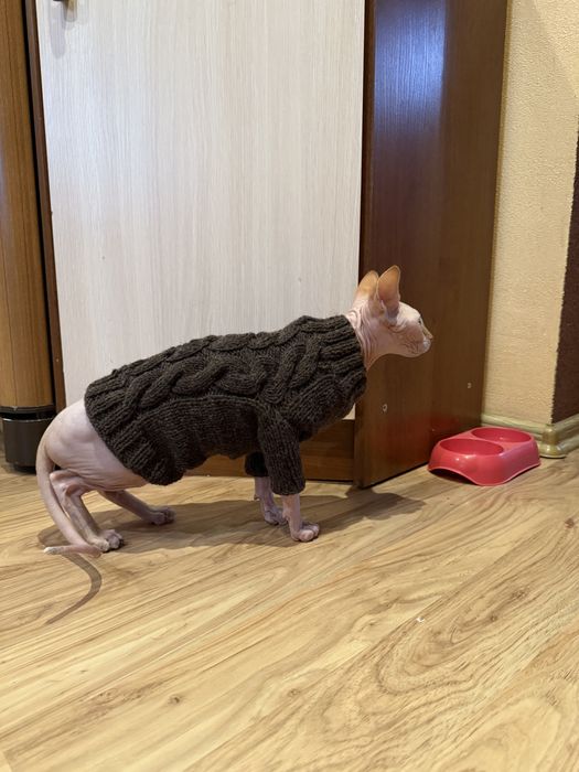 Світерок для котика/собачки