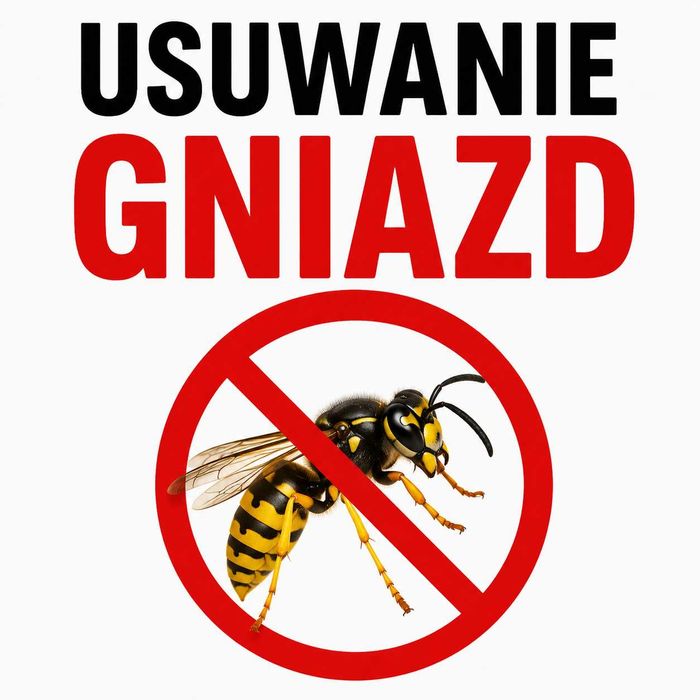 Usuwanie gniazd owadów osy,szerszenie