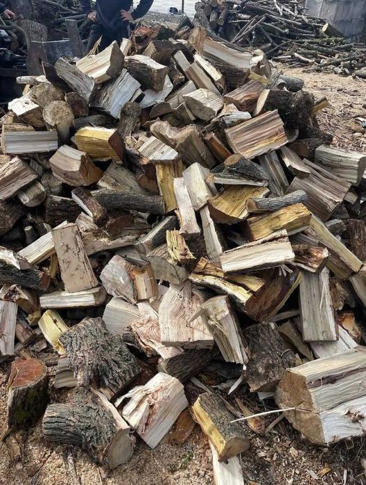 Сухие Дрова разных пород.
