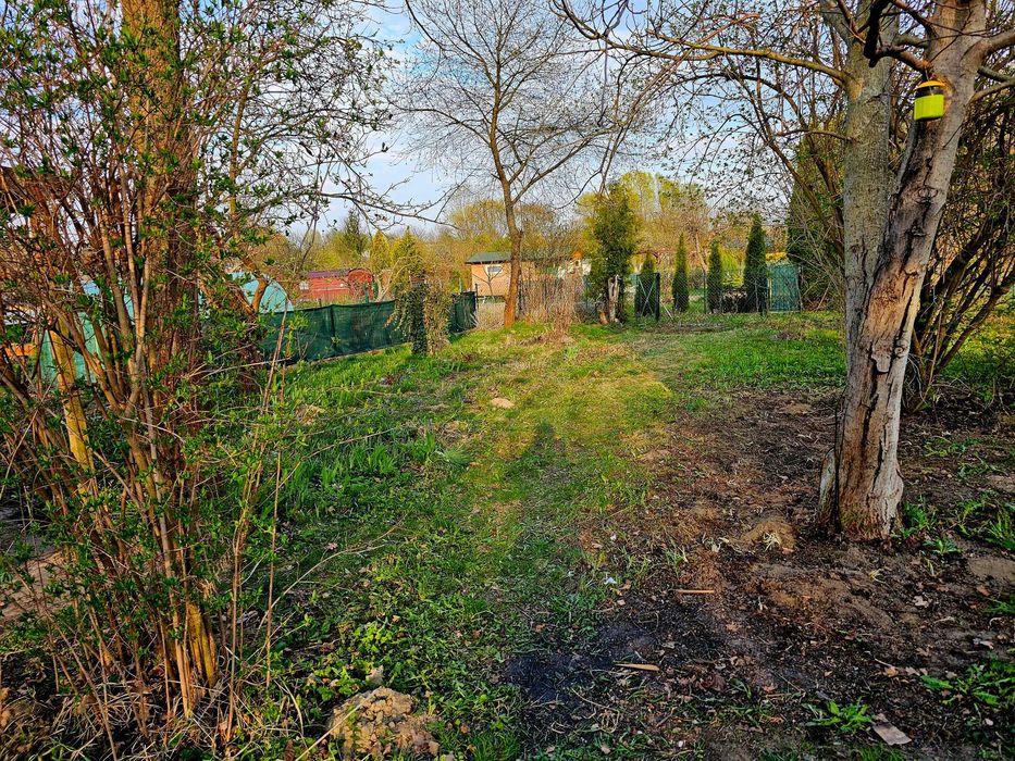 Działka rekreacyjna ROD Żeromskiego Ostrowiec Świętokrzyski  z domkiem - Widok 6