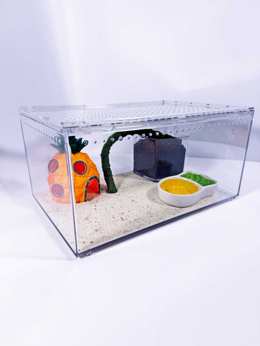 Акриловый террариум для рептилий,пауков,улиток "Спанч Боб", 30х20х15см