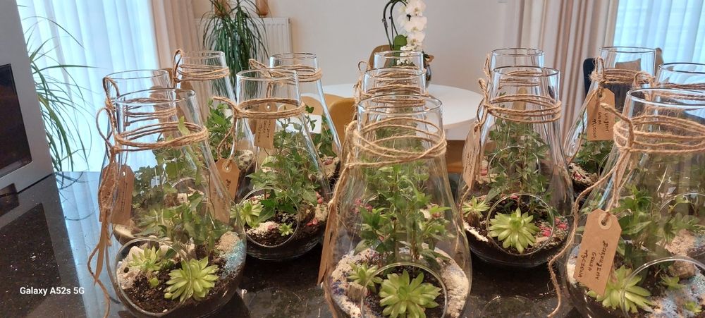 Las w szkle - mikroklimat