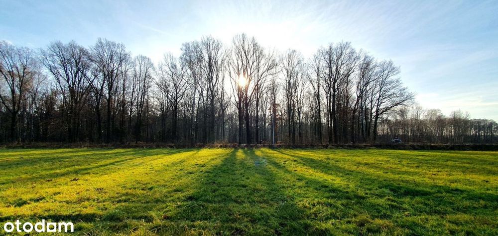 Działka budowlana 10 arów ( 8 lub 12 arów)