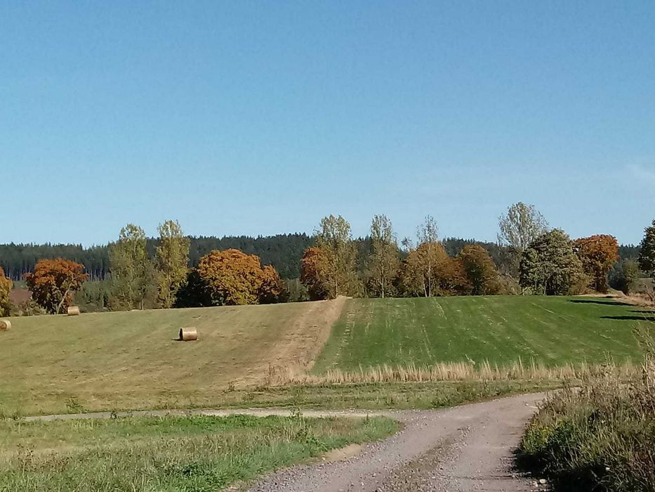Działka budowlana koło Krzeszowa 1107 m². Okazja! - Widok 3