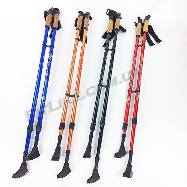 Приму в дар скандинавськi палицi