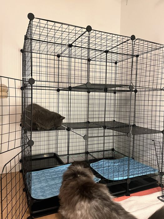 Gaiola jaula para animais (nao negociavel)