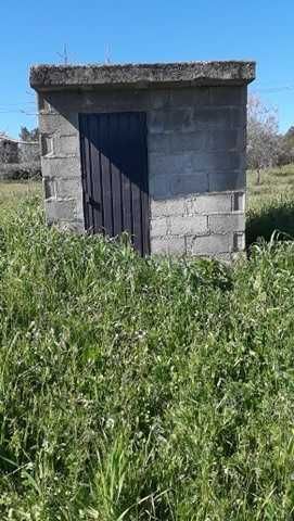 Quinta Agrícola – Vale Bom Pitez – Mirandela – Trás-os-Montes