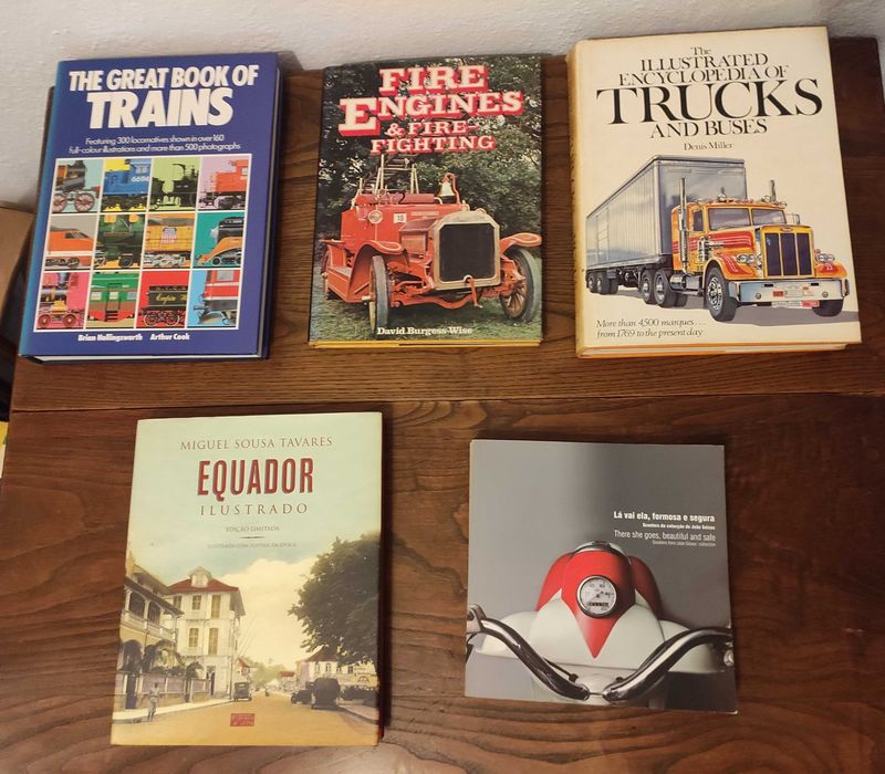 Livros vários comboios camiões carros bombeiros arte antiguidades etc