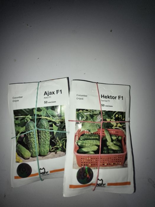 Насіння кормових буряків, червоних буряків, моркви