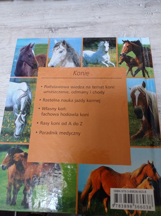 Książka o koniach