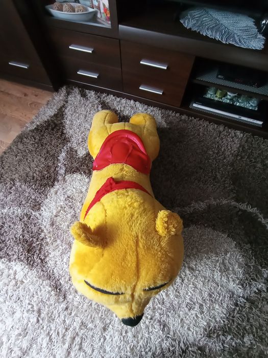 Pluszak na biegunach