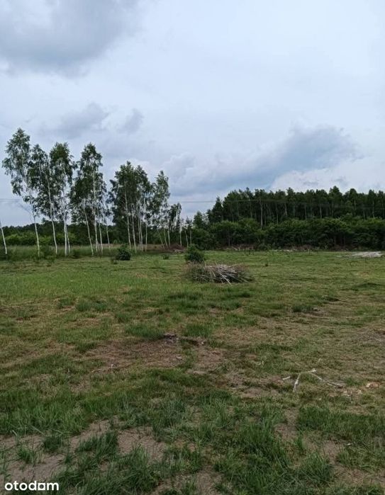 Działki budowlane Jadów 60km od Warszawy