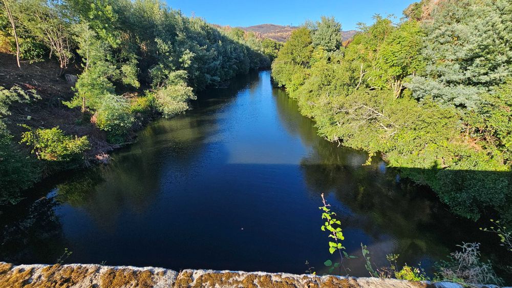 Edifício reabilitado para investimento | 8 unidades + rooftop | Ativo