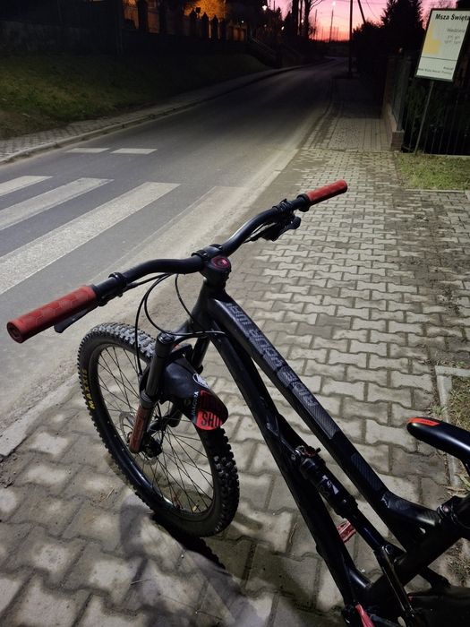 Rower Dartmoor blackbird