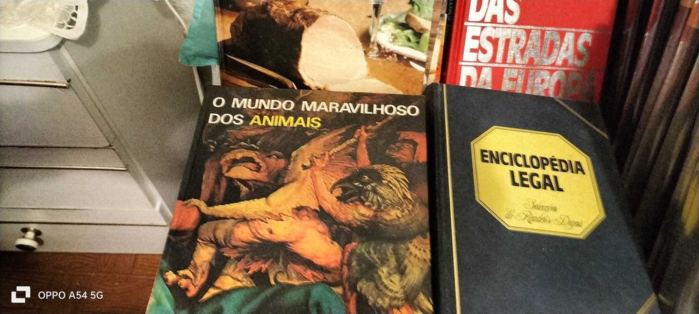 Diversos livros e enciclopédia