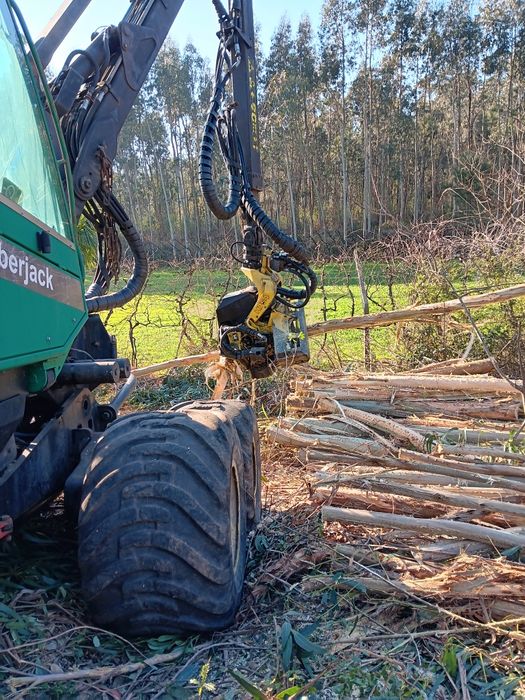 Processadora Timberjack