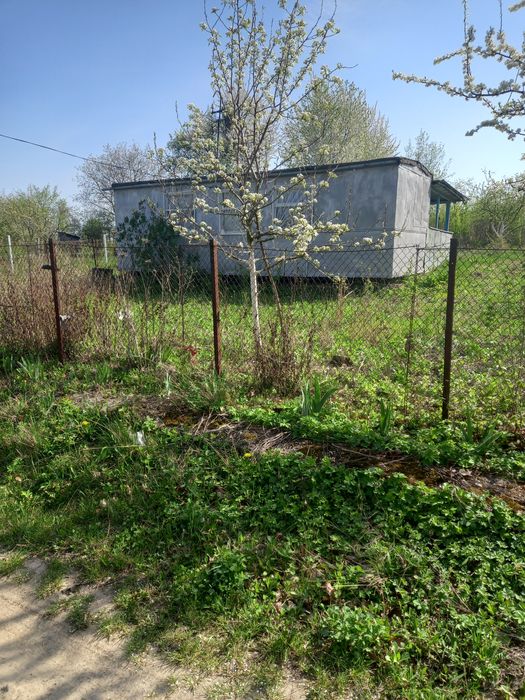 Дача с.Грузевиця(Вишневий сад)