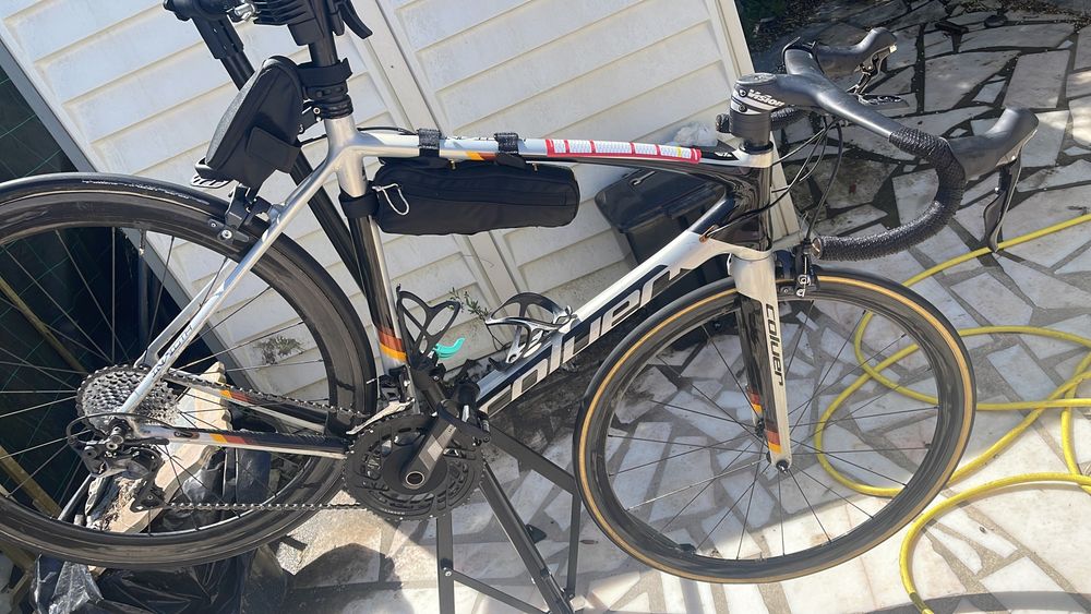 Coluer Invicta carbono
