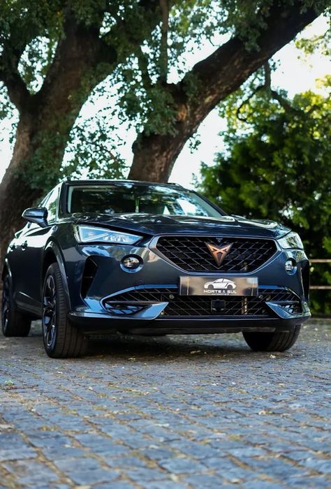 Cupra Formentor 1.5 TSI DSG Tribe Edition