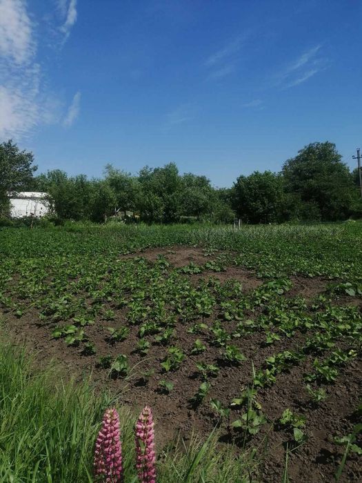 Продам ділянку в Лезнево
