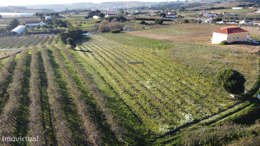 Terreno c/ projeto aprovado em Moita dos Ferreiros — Moita dos Ferreiros, Lisboa