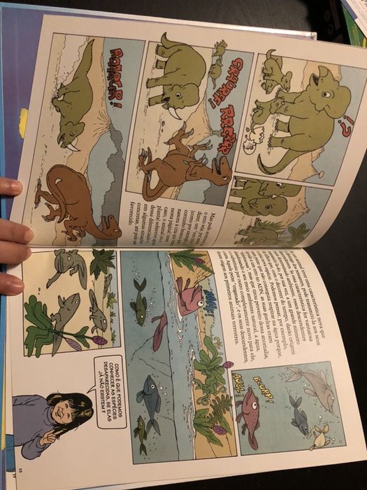 Livros infantis para aprender e divertir