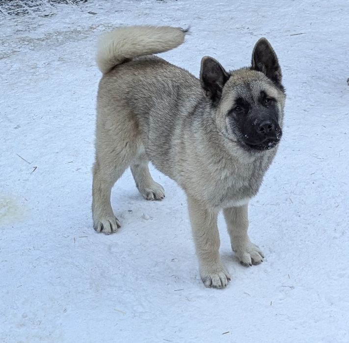 Чекаємо на дбайливу родину