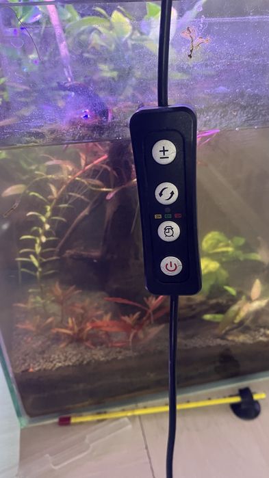 Luz de aquario com temporizador