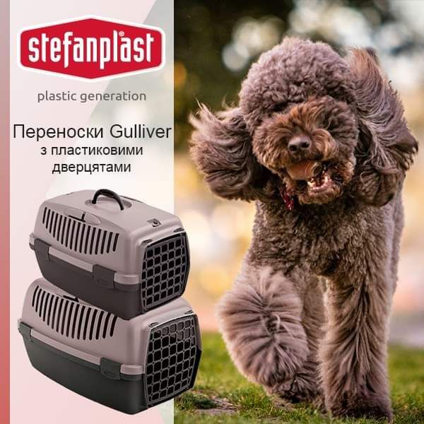 Переноски, бокси для кішок і собак