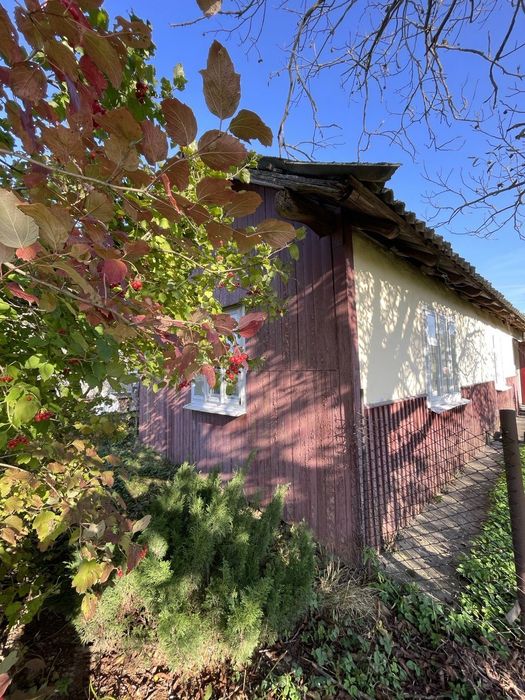 Будинок з землею 23 сот. Березівка(Центр)