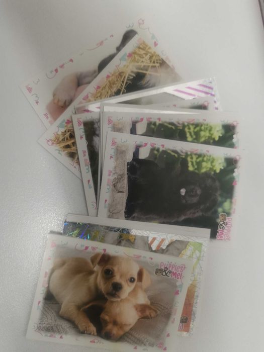 5 Cromos puppies e me