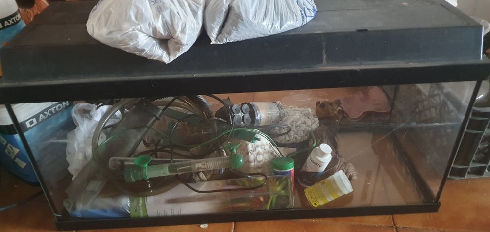 Aquario completo