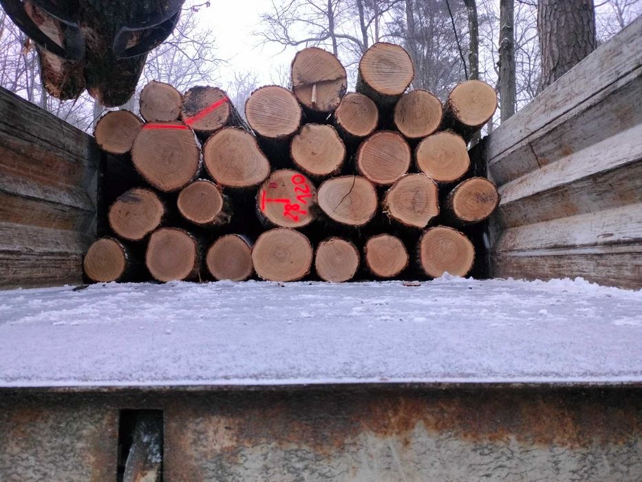 Drewno kominkowe i opałowe