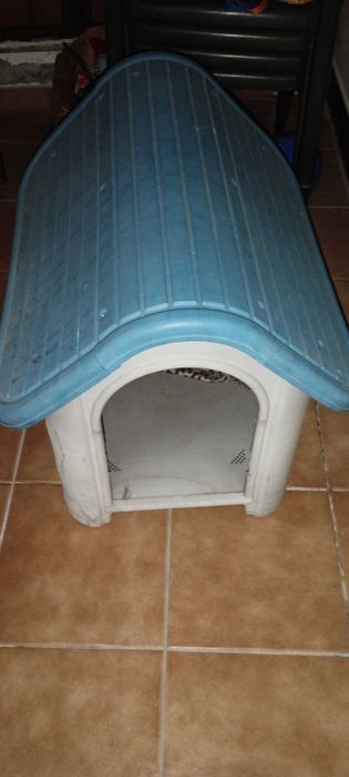 Casinha para cao
